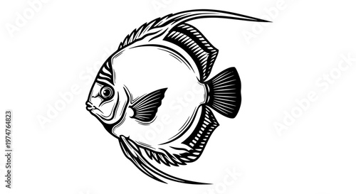 Discus Fish Vector Illustration, Exotic Round Tropical Fish for Aquarium and Pet Design