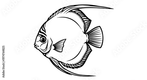 Discus Fish Vector Illustration, Exotic Round Tropical Fish for Aquarium and Pet Design