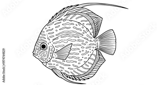 Discus Fish Vector Illustration, Exotic Round Tropical Fish for Aquarium and Pet Design