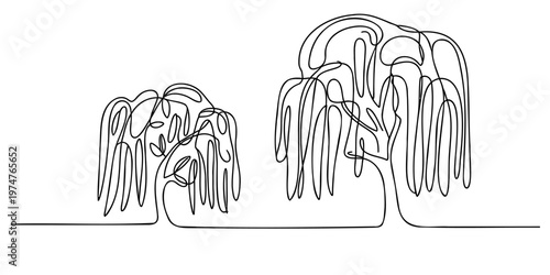 A minimalist continuous line drawing featuring two weeping willow trees standing on the ground