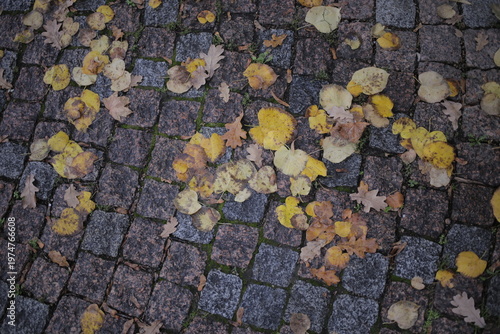 Dry leaves that fall on paving blocks.