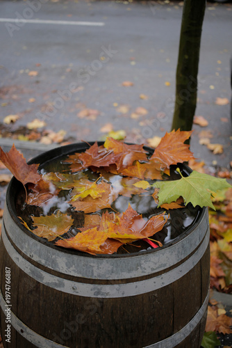 An oak barrel on an autumn street.