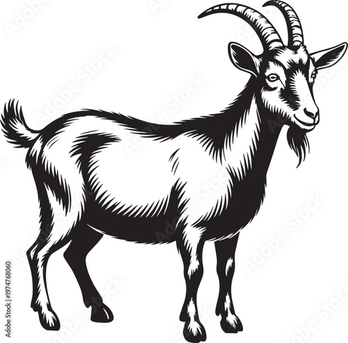 Illustrative Monochrome Goat Portrait in Vintage Style with Melancholic Mood