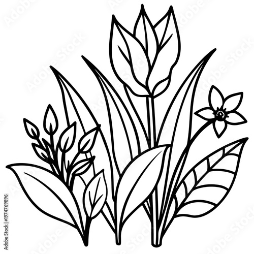 plants and flowers line art vector