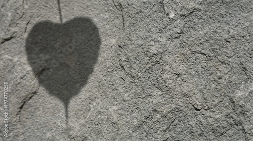 Rough Grey Sandstone Surface with Soft Bodhi Leaf Shadow and Minimalist Natural Lighting