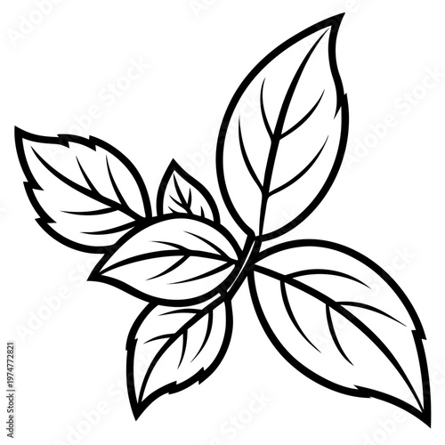 Stevia line art vector