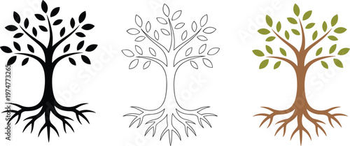 Set of deciduous tree vector icons with deep underground root system in black silhouette, line art, and natural colors