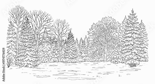 A sketch of a winter forest scene with bare trees and snow