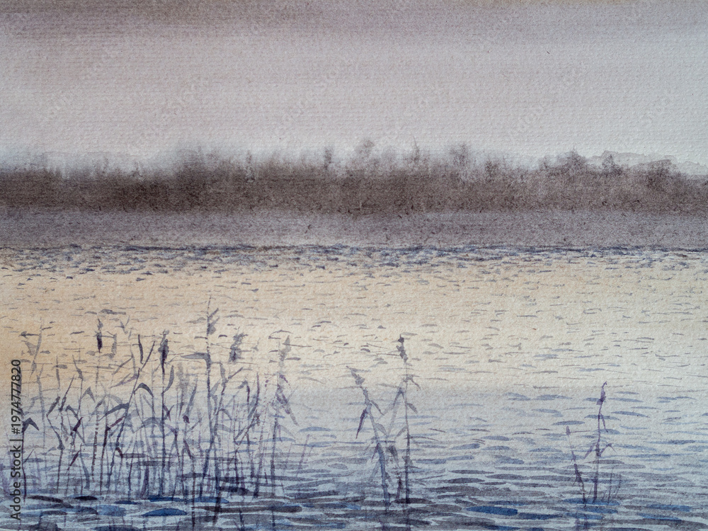 Obraz premium Minimalist watercolor-style landscape of a calm lake with delicate reeds in the foreground and a soft, misty treeline in the background