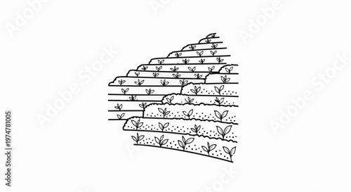 Black and white illustration of terraced agricultural fields with young plants