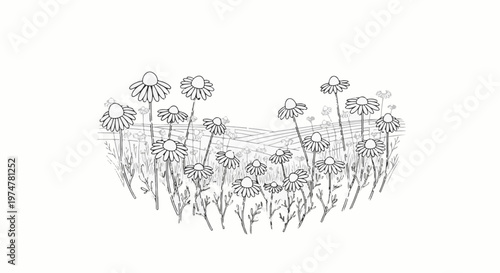 A whimsical sketch of a field full of daisies against rolling hills in the distance