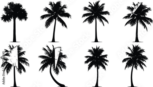 Collection of palm tree silhouettes isolated on white background, tropical coconut trees in various shapes, beach landscape elements for summer, travel, island, and nature design use