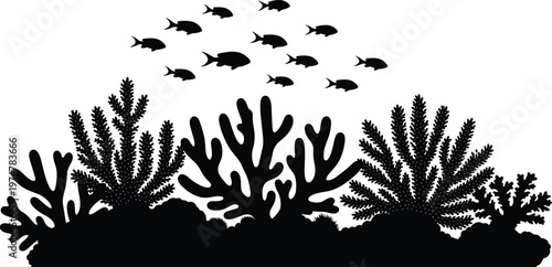 Coral reef silhouette with tropical fish isolated on white background, underwater marine scene with sea plants and ocean life for nature, aquarium, and aquatic design use