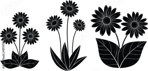 Daisy flower silhouette collection with leaves and stems in black isolated on white background, perfect for floral design, botanical illustration, decoration, and vector projects
