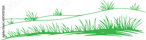 Minimalist Green Hand Drawn Grass on Rolling Hills Illustration