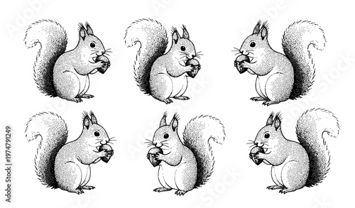 squirrel and nuts Cute Squirrel Dot Art Vector Set with Six Animal Illustrations Holding Nuts