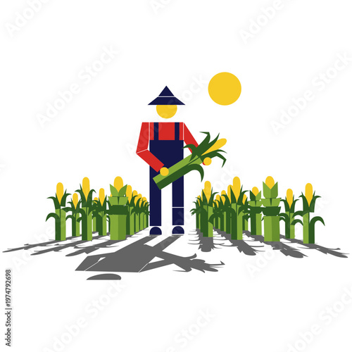 Farmer harvesting corn in a sunny field with rows of plants
