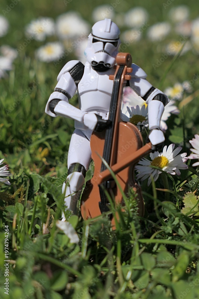 Obraz premium Action figure of clone trooper from Star Wars movies, in white armor and helmet playing on model of violoncello in garden lawn with blossoming common daisies, sunlit by morning sunshine. 