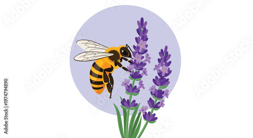 A bee collecting nectar from a lavender flower in a beautiful natural setting