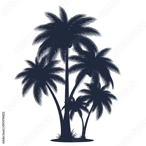 Dark silhouettes of multiple palm trees with fronds and grass at the base