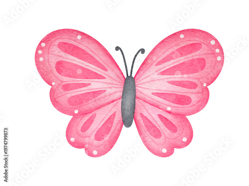 Pink Watercolor Butterfly Illustration