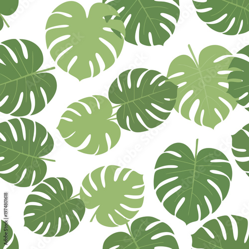 Seamless pattern of monstera leaves in various shades of green on a white background