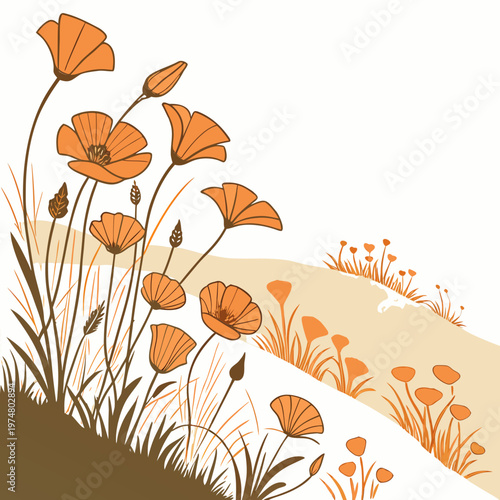 Orange poppy flowers in a field nature