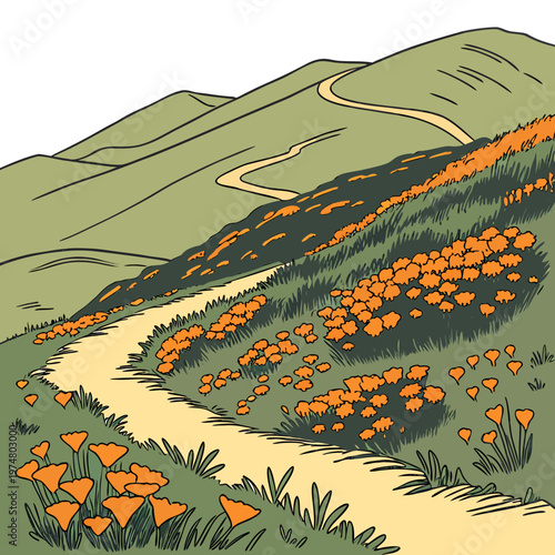 Winding Trail with Orange Poppies landscape nature