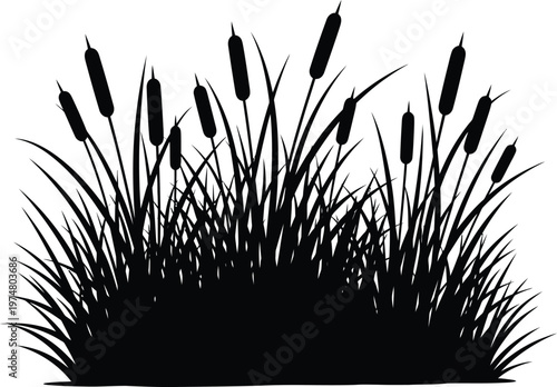 Dense cattail reeds silhouette with grass cluster wetland plant background