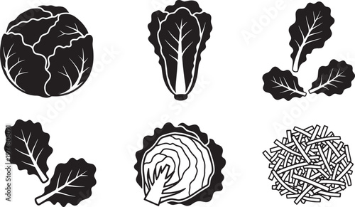 Six black and white silhouettes of cabbage heads and cabbage leaves are arranged in a grid. The cabbage heads vary in shape and size, showcasing different angles and details of the vegetable.