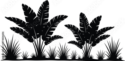 Tropical banana trees silhouettes with grass border jungle foliage design