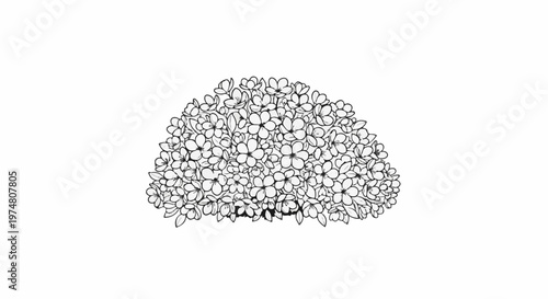 Delicate outline drawing of a dense cluster of small blooming flowers