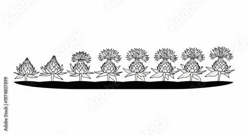 Monochromatic row of thistle-like flowers in various stages of bloom