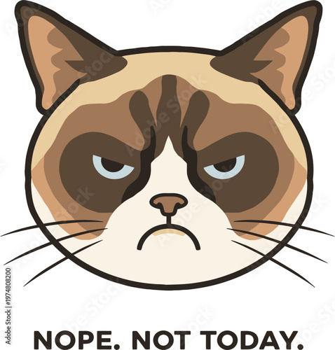 A grumpy cat expressing strong reluctance with a disapproving frown and text overlay.
