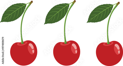 Fresh red cherry fruit set with green stems and leaves