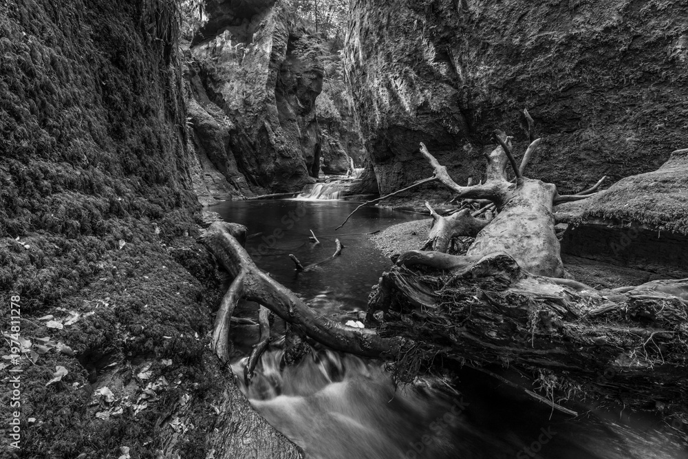 Fototapeta premium The devils pulpit near Loch Lommond