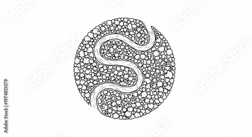 A winding path through a textured circular area