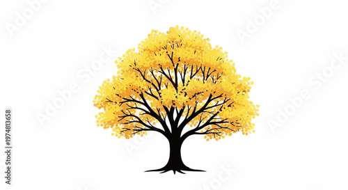 Vibrant deciduous tree with golden foliage, standing on a white background