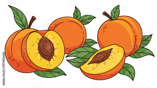 Fresh Peaches with Leaves and Slices.