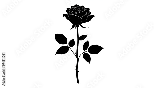 A stark, monochrome silhouette of a single rose. The detailed image showcases petals, stem, leaves, and thorns on a plain white backdrop
