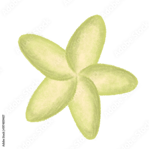 фотографія fresh tropical flower digital illustration in watercolor brush