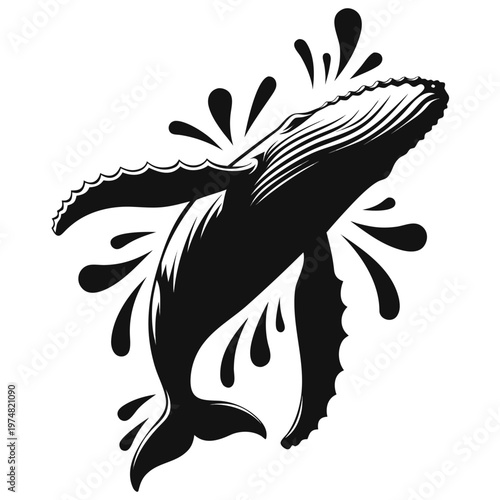 Humpback whale breaching vector illustration, black and white marine life silhouette, jumping whale with water splashes, nautical ocean mammal icon