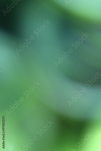 Eco nature green gradient background with soft blur and fresh bright tones
