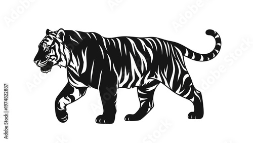 Black and White Tiger Illustration.