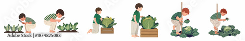 Illustrations of a curious boy exploring a vegetable garden, observing cabbages and insects like ladybugs and beetles using a magnifying glass.