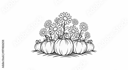 Group of pumpkins with daisy flowers