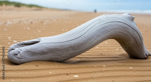 Smooth weathered driftwood bleached by sun resting on sandy beach with rippled texture