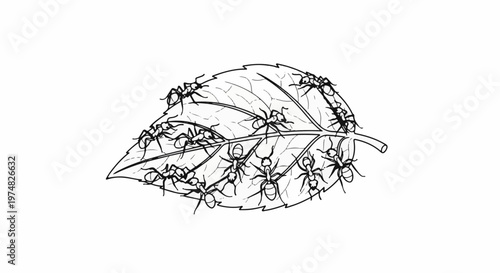 Many ants swarm over a detailed leaf drawing