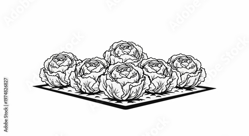Six stylized cabbage heads arranged on a black and white patterned surface