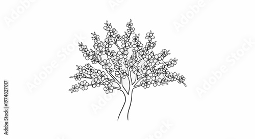 Delicate line drawing of a blooming tree with numerous small flowers